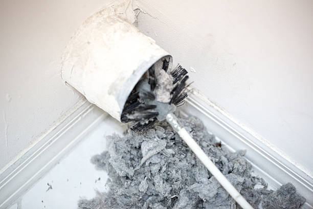 Best Affordable HVAC Duct Cleaning  in Northfield, IL